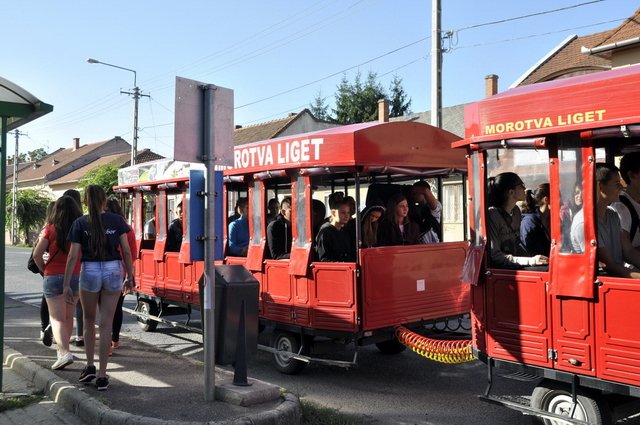 Verébtábor az Aranyban 01